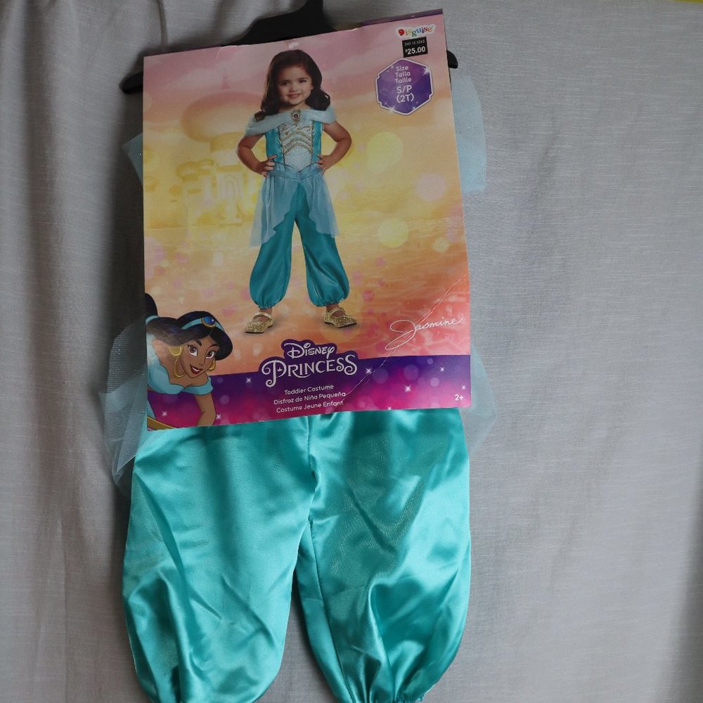 Disney Princess Jasmine Toddler Costume size 2T